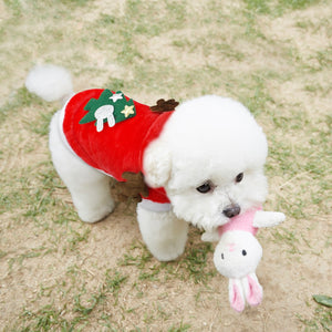 Christmas Cat Clothes Small