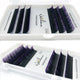 6Rows Ombre Blue Purple Color Eyelash