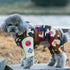 Pet Dog Clothes Winter Warm