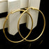 Gold Color Stainless Steel Earrings